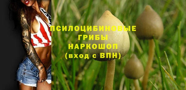 меф Сатка