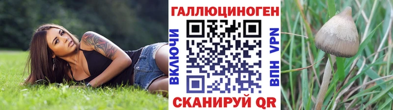 Псилоцибиновые грибы Cubensis  купить наркотики цена  OMG зеркало  shop состав  Жердевка 